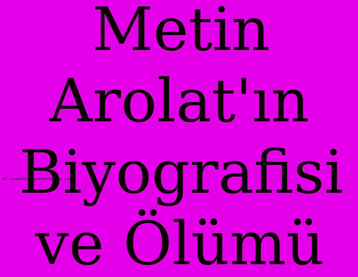 Metin Arolat'ın Biyografisi Ve Ölümü