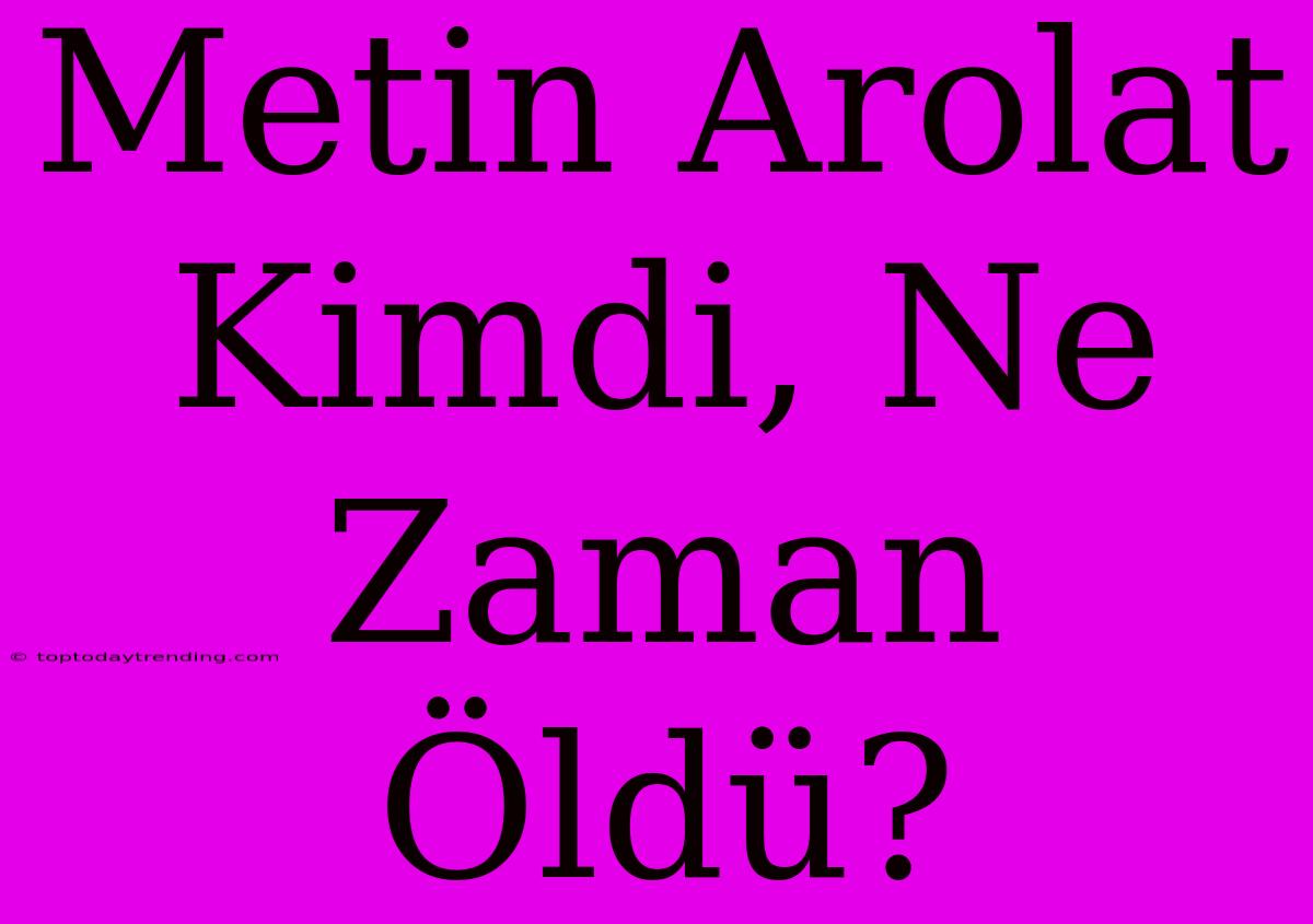 Metin Arolat Kimdi, Ne Zaman Öldü?