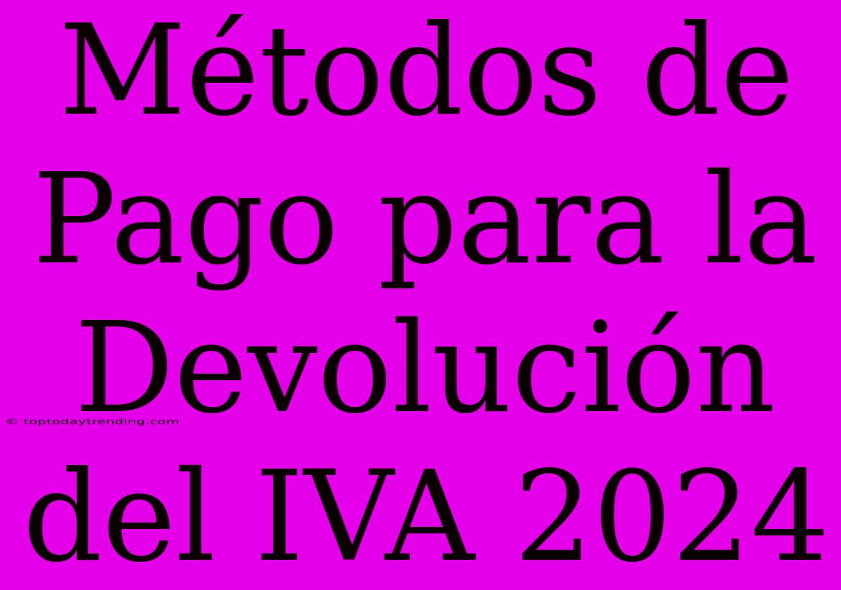 Métodos De Pago Para La Devolución Del IVA 2024