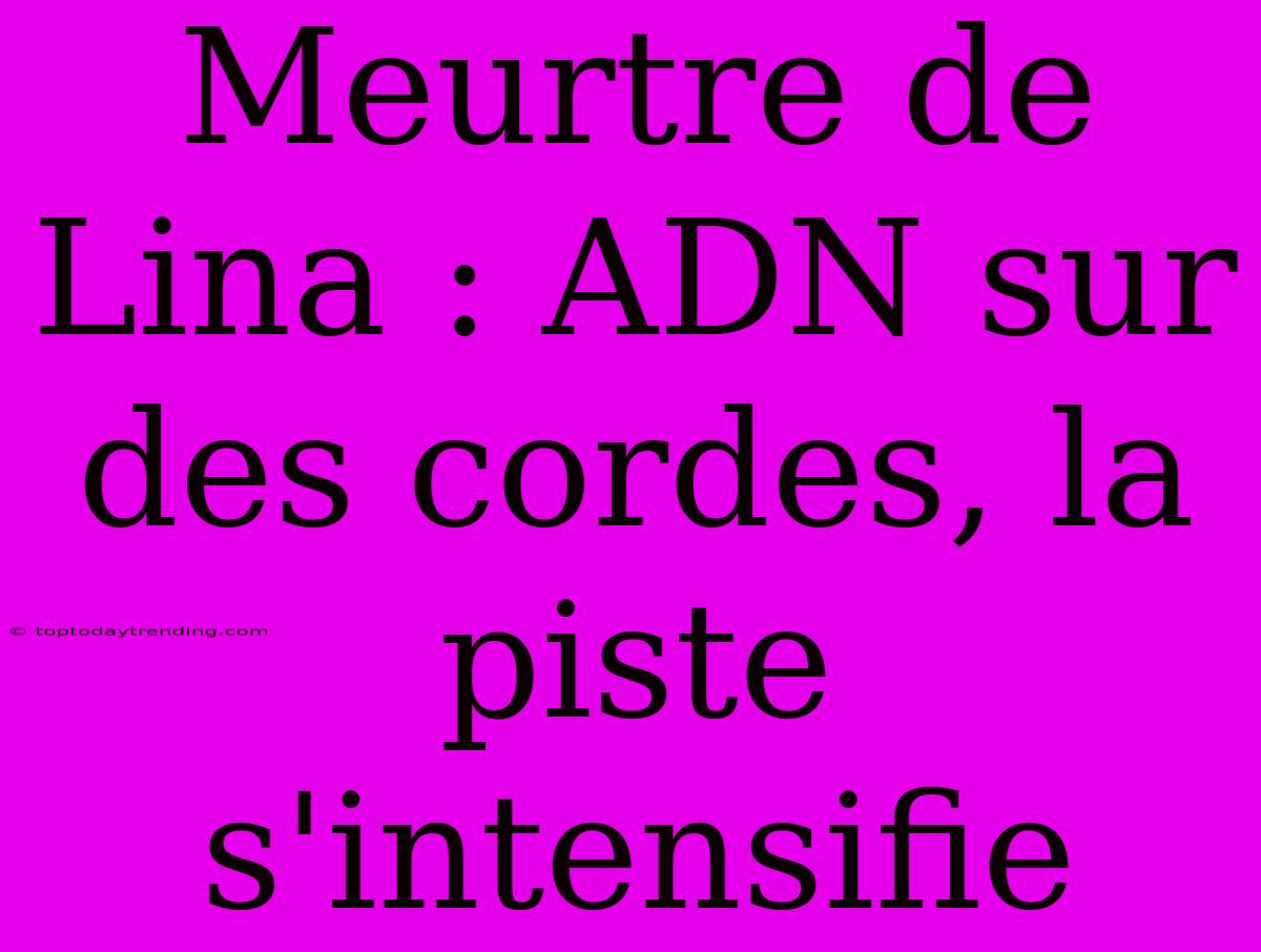 Meurtre De Lina : ADN Sur Des Cordes, La Piste S'intensifie