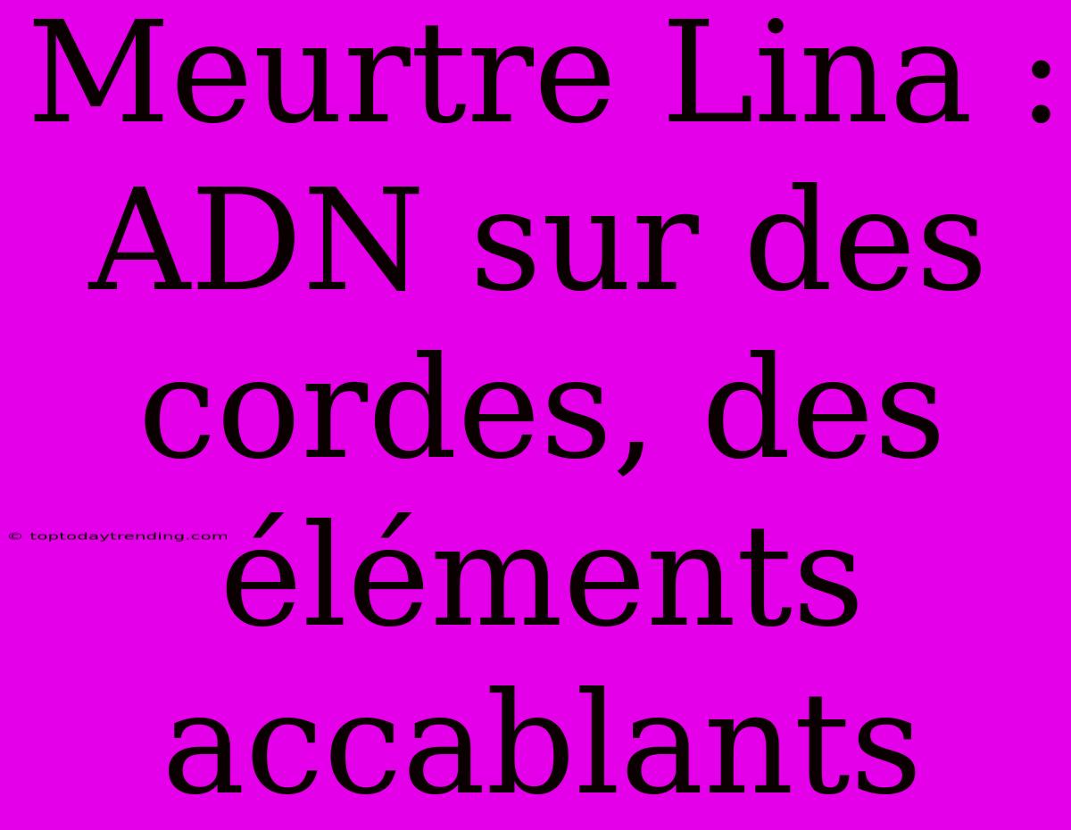 Meurtre Lina : ADN Sur Des Cordes, Des Éléments Accablants