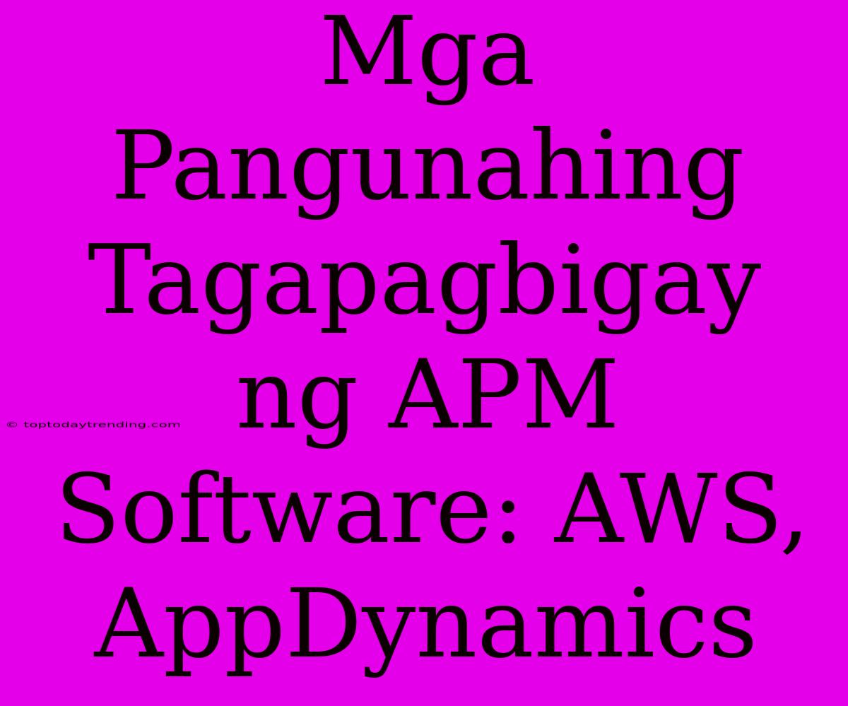 Mga Pangunahing Tagapagbigay Ng APM Software: AWS, AppDynamics