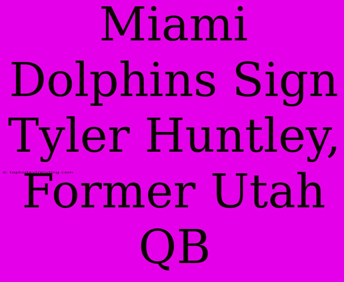 Miami Dolphins Sign Tyler Huntley, Former Utah QB