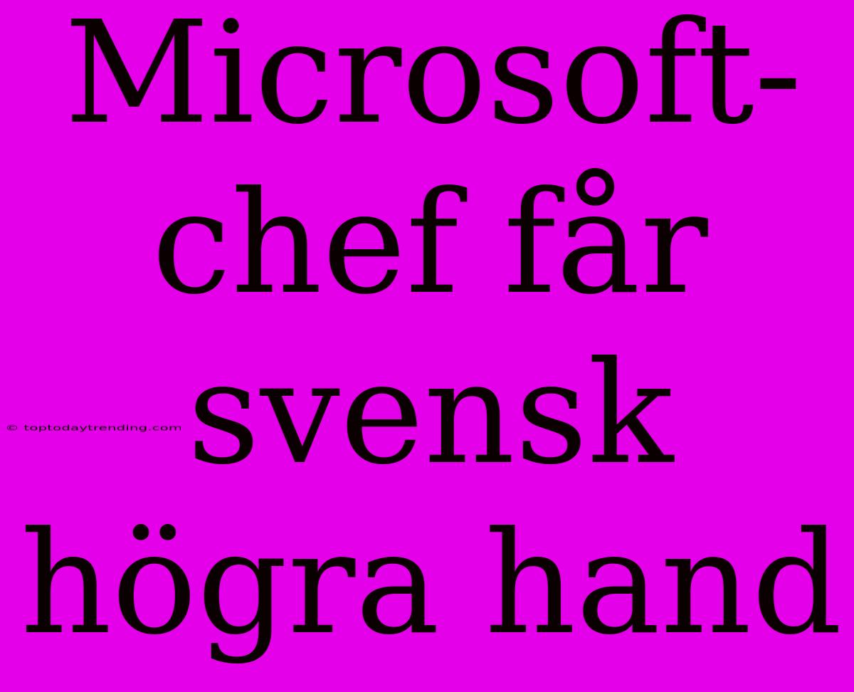 Microsoft-chef Får Svensk Högra Hand