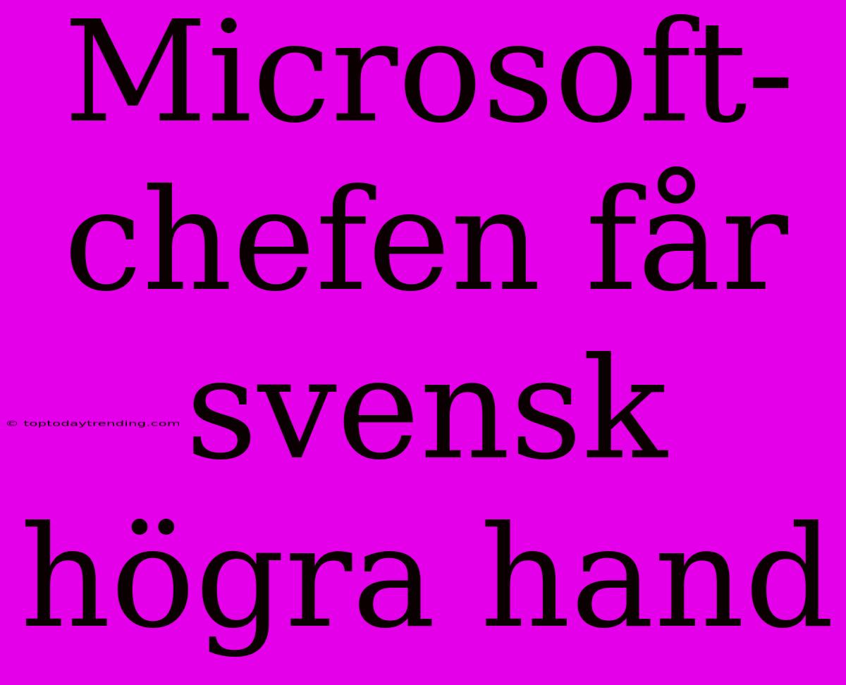 Microsoft-chefen Får Svensk Högra Hand