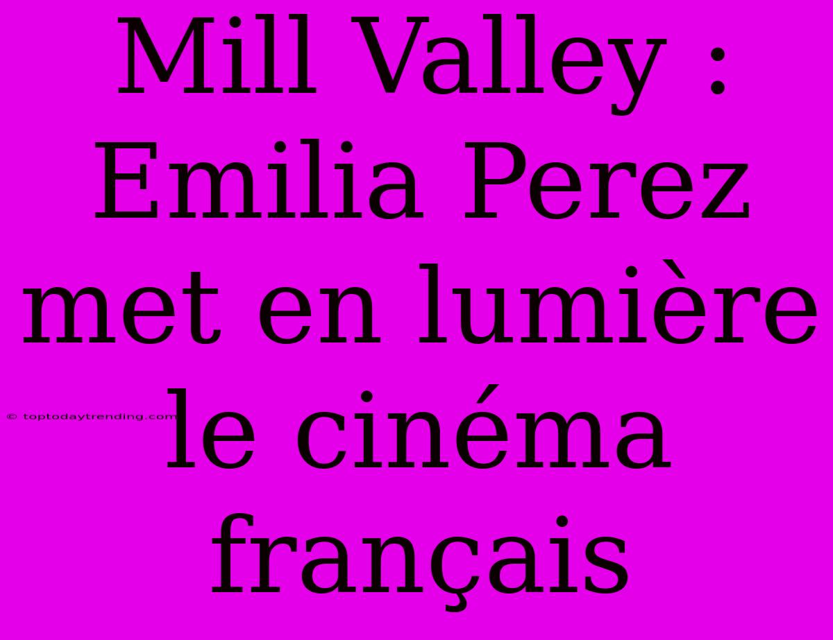 Mill Valley : Emilia Perez Met En Lumière Le Cinéma Français