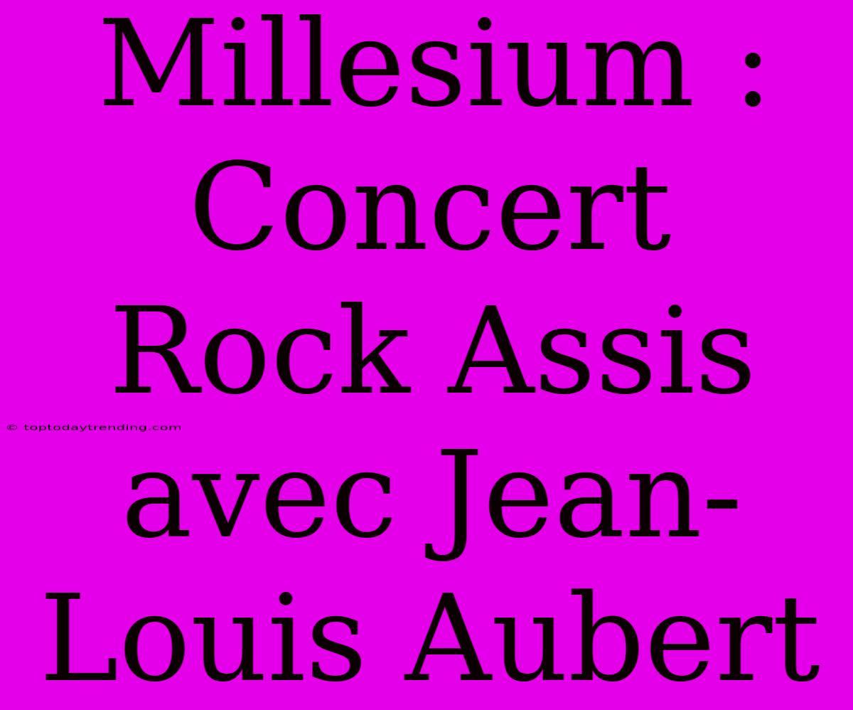 Millesium : Concert Rock Assis Avec Jean-Louis Aubert