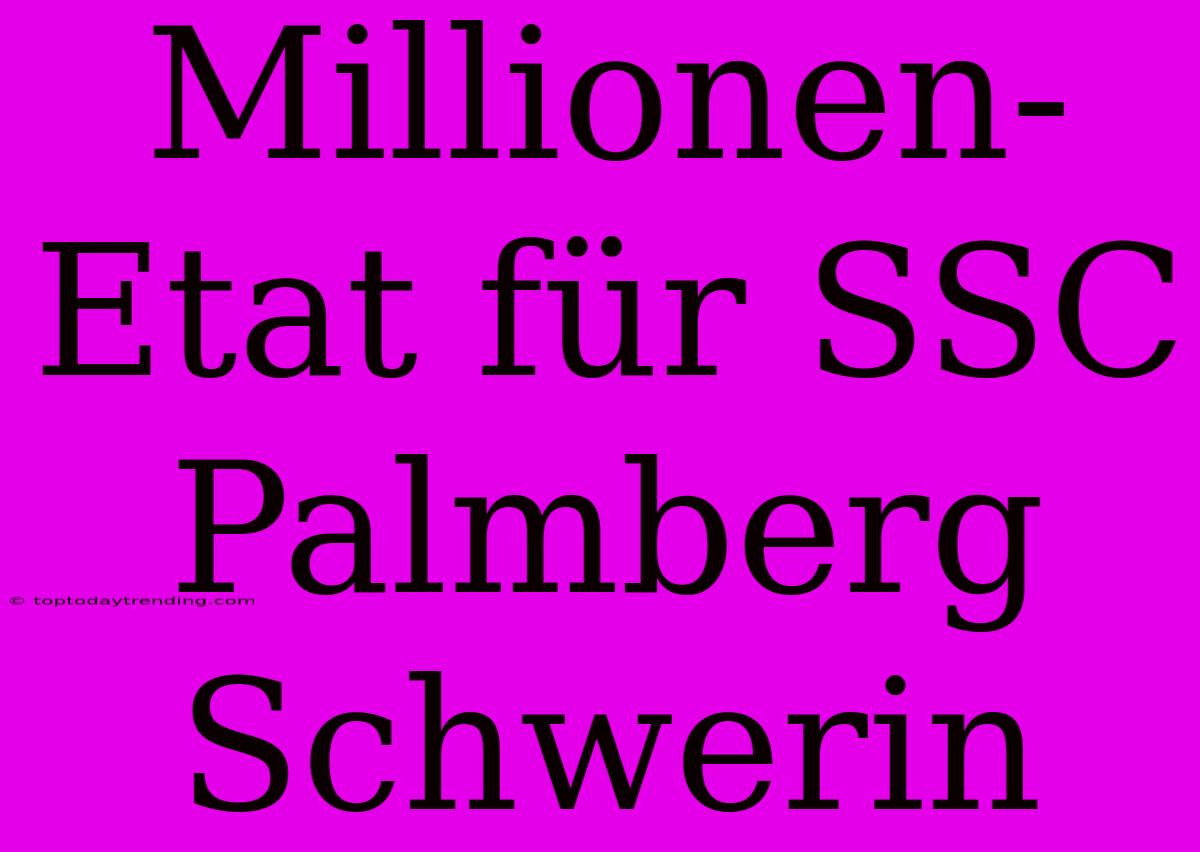 Millionen-Etat Für SSC Palmberg Schwerin