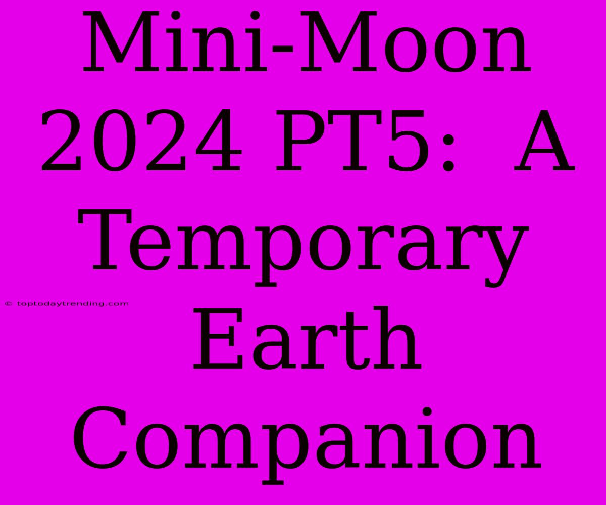 Mini-Moon 2024 PT5:  A Temporary Earth Companion