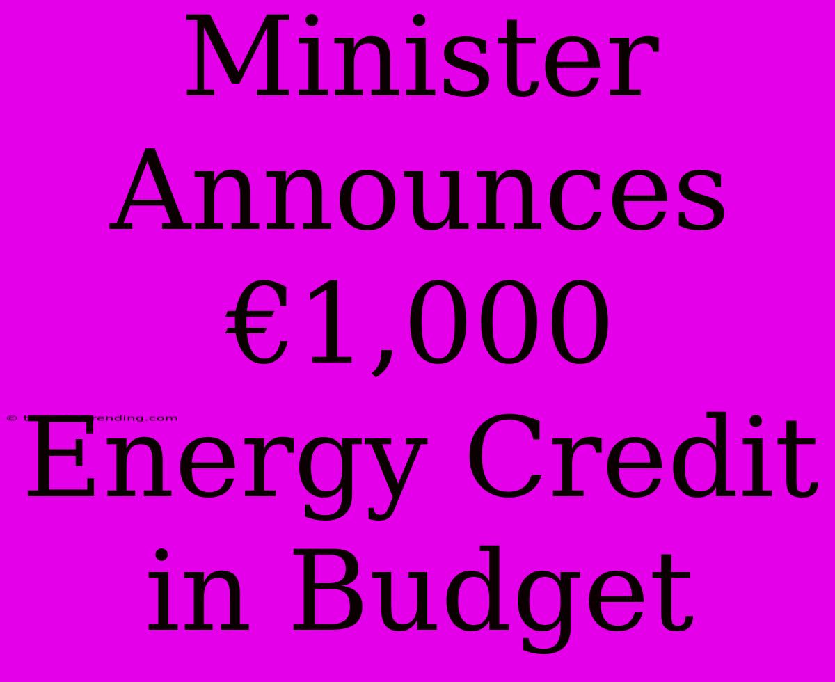 Minister Announces €1,000 Energy Credit In Budget