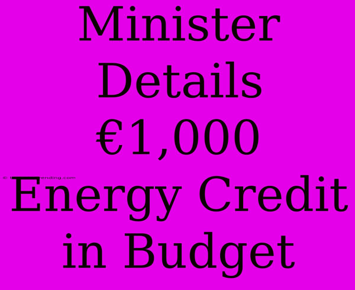 Minister Details €1,000 Energy Credit In Budget