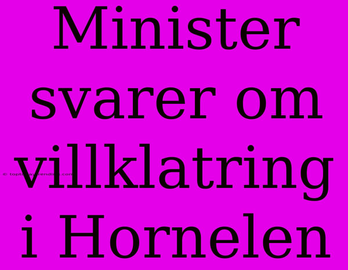 Minister Svarer Om Villklatring I Hornelen