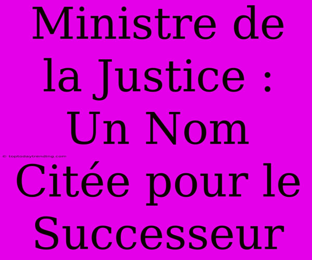 Ministre De La Justice : Un Nom Citée Pour Le Successeur