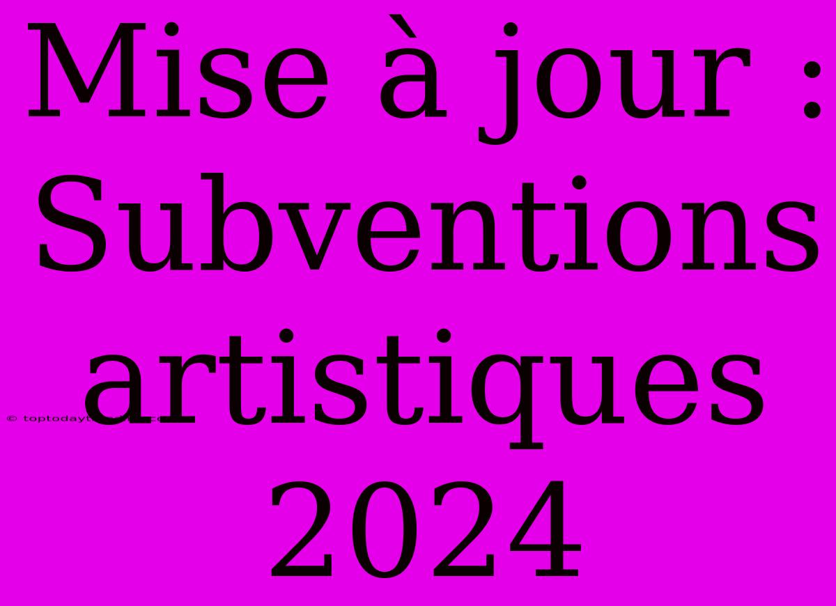 Mise À Jour : Subventions Artistiques 2024