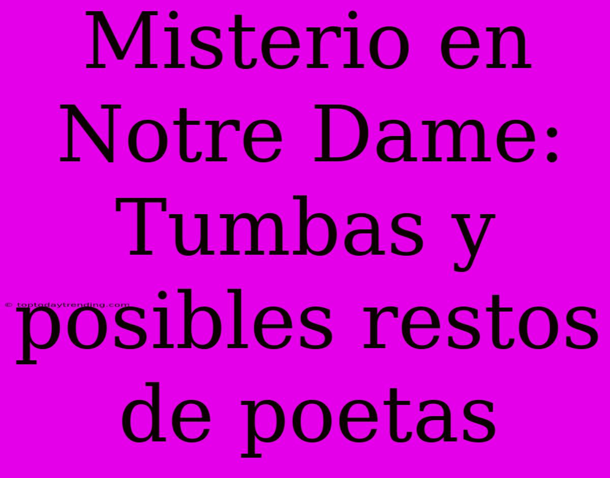 Misterio En Notre Dame: Tumbas Y Posibles Restos De Poetas