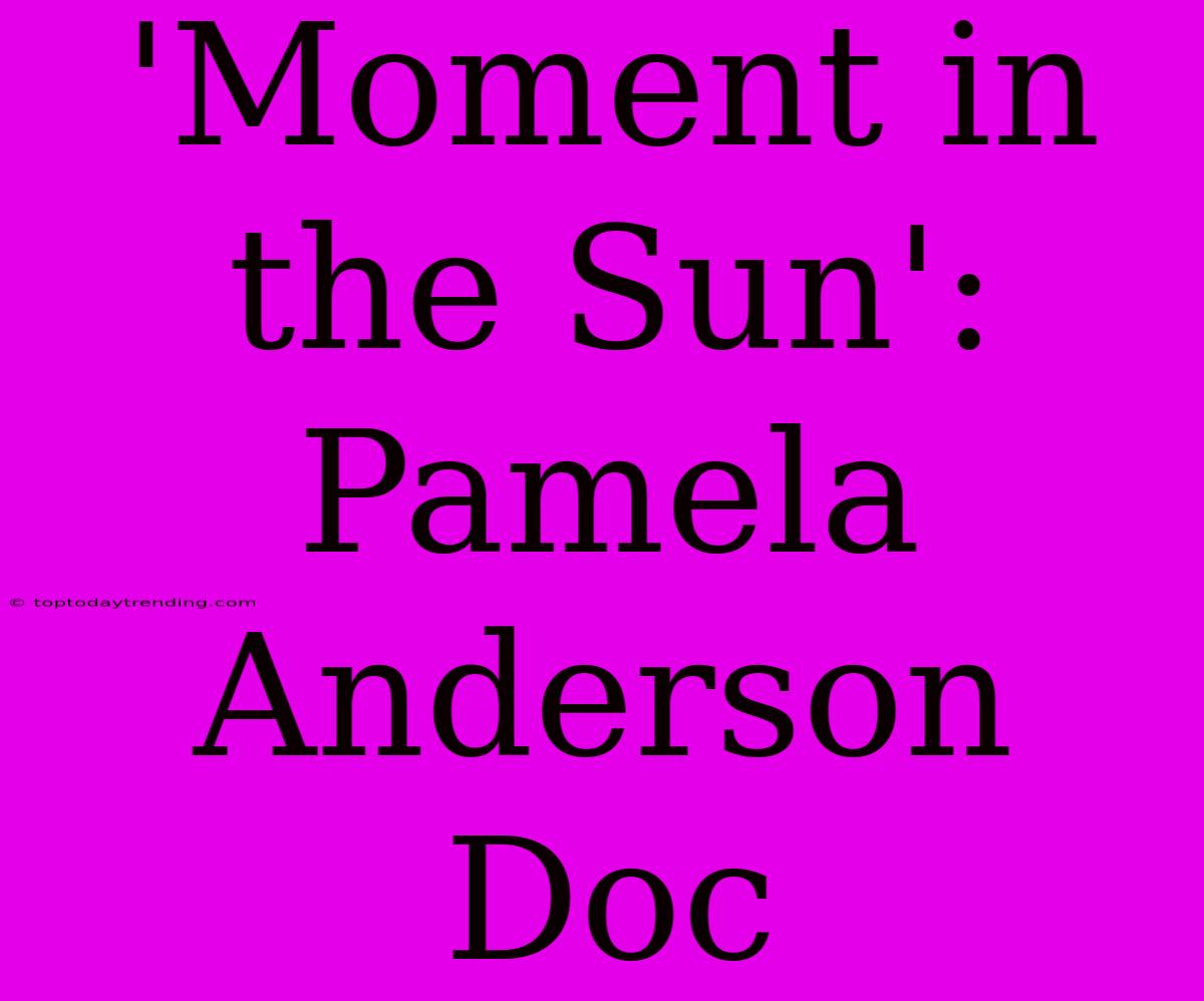 'Moment In The Sun': Pamela Anderson Doc