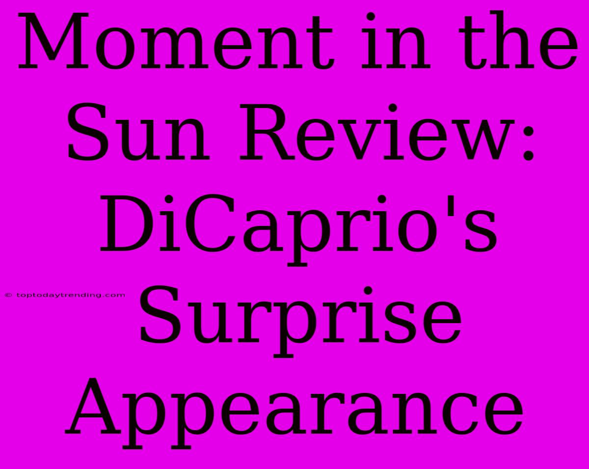 Moment In The Sun Review: DiCaprio's Surprise Appearance