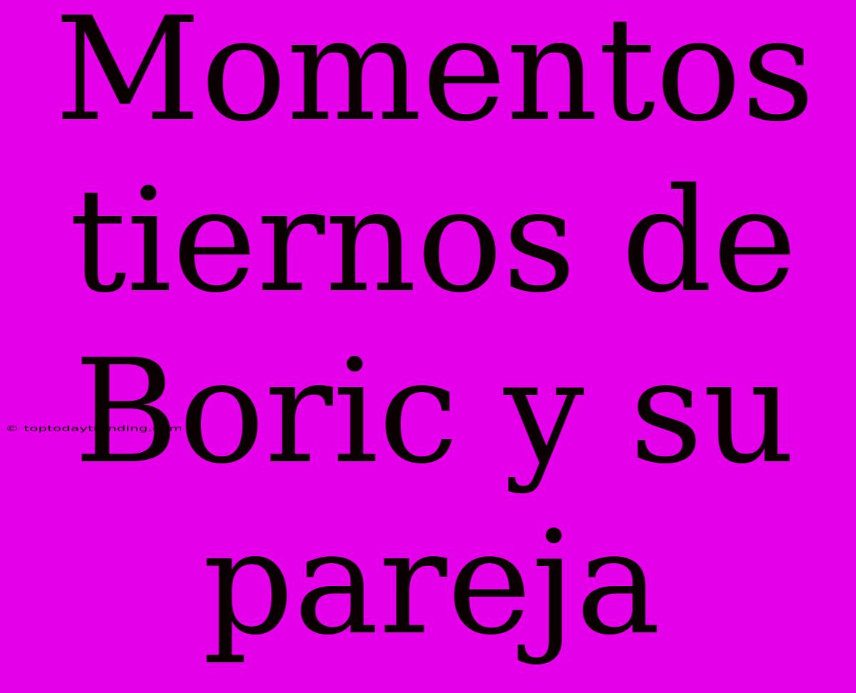 Momentos Tiernos De Boric Y Su Pareja