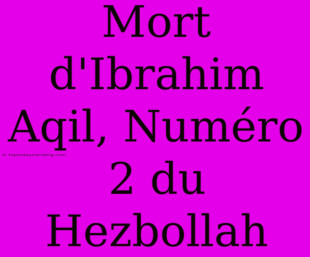 Mort D'Ibrahim Aqil, Numéro 2 Du Hezbollah