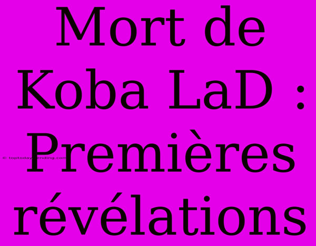 Mort De Koba LaD : Premières Révélations