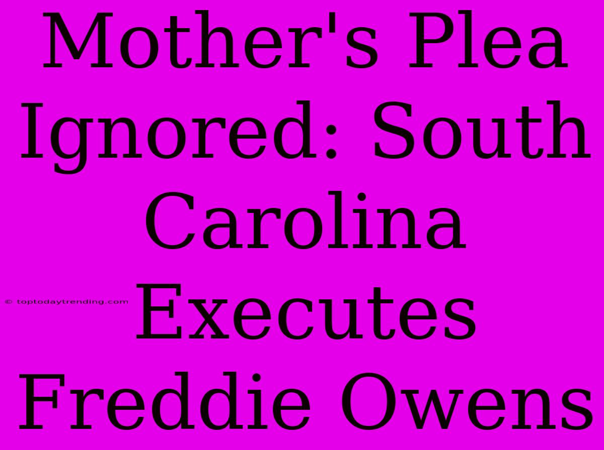 Mother's Plea Ignored: South Carolina Executes Freddie Owens