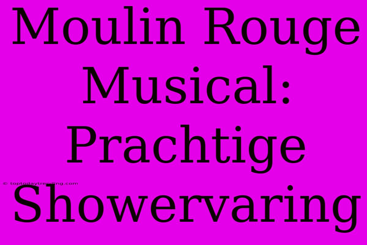 Moulin Rouge Musical: Prachtige Showervaring