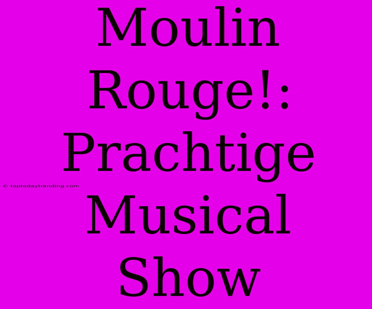 Moulin Rouge!: Prachtige Musical Show