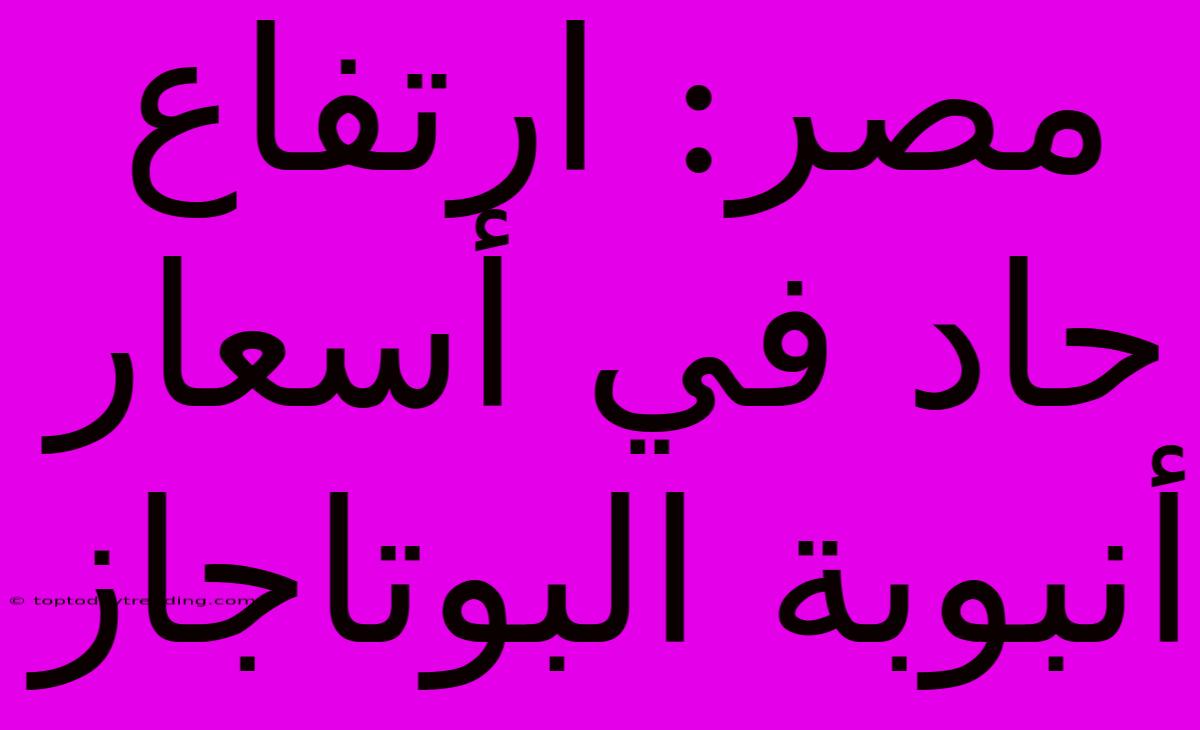 مصر: ارتفاع حاد في أسعار أنبوبة البوتاجاز