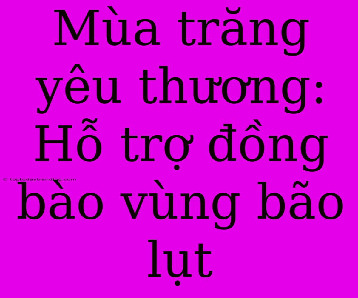 Mùa Trăng Yêu Thương: Hỗ Trợ Đồng Bào Vùng Bão Lụt