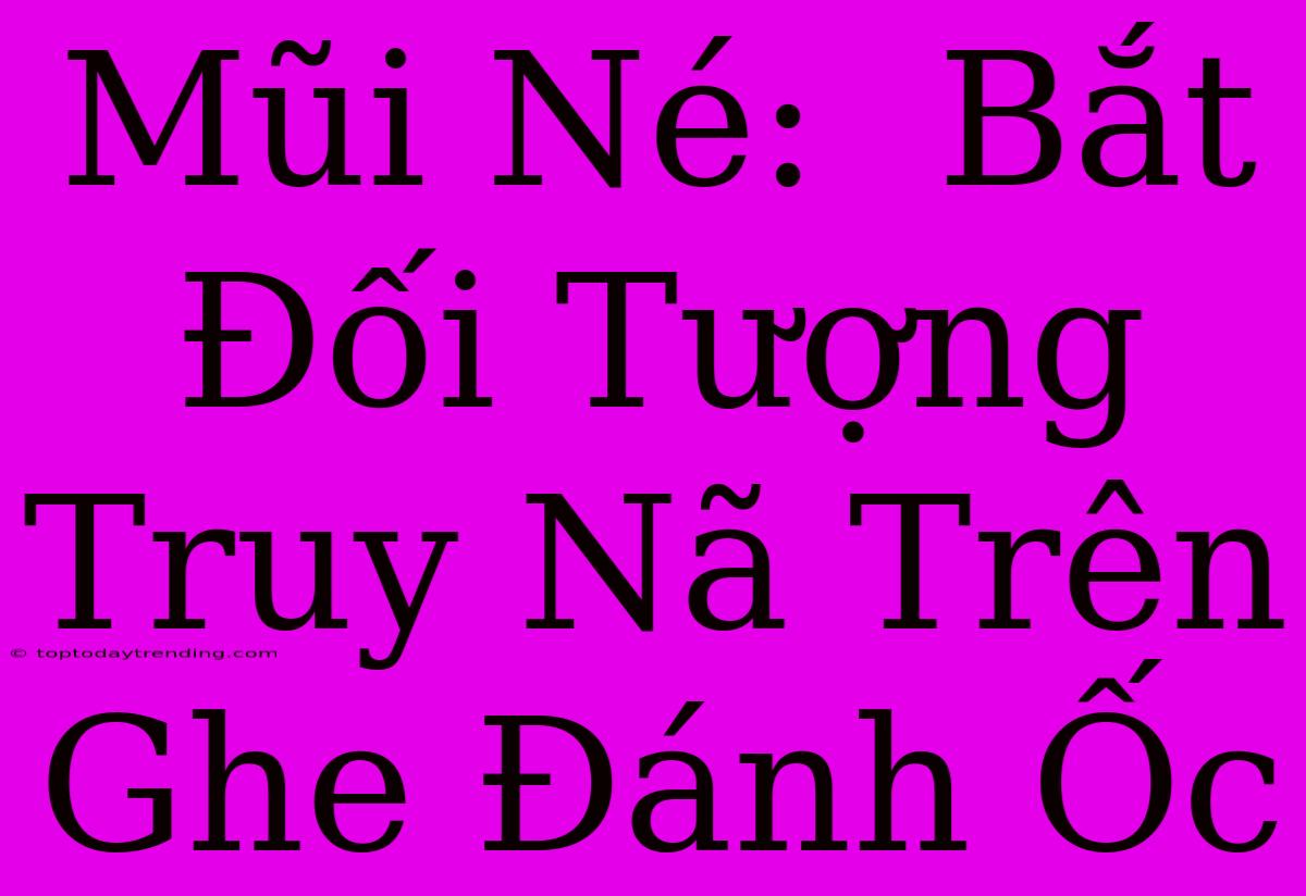 Mũi Né:  Bắt Đối Tượng Truy Nã Trên Ghe Đánh Ốc