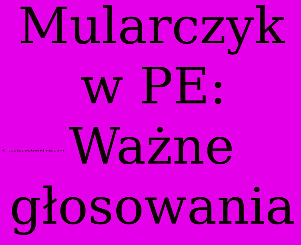 Mularczyk W PE: Ważne Głosowania