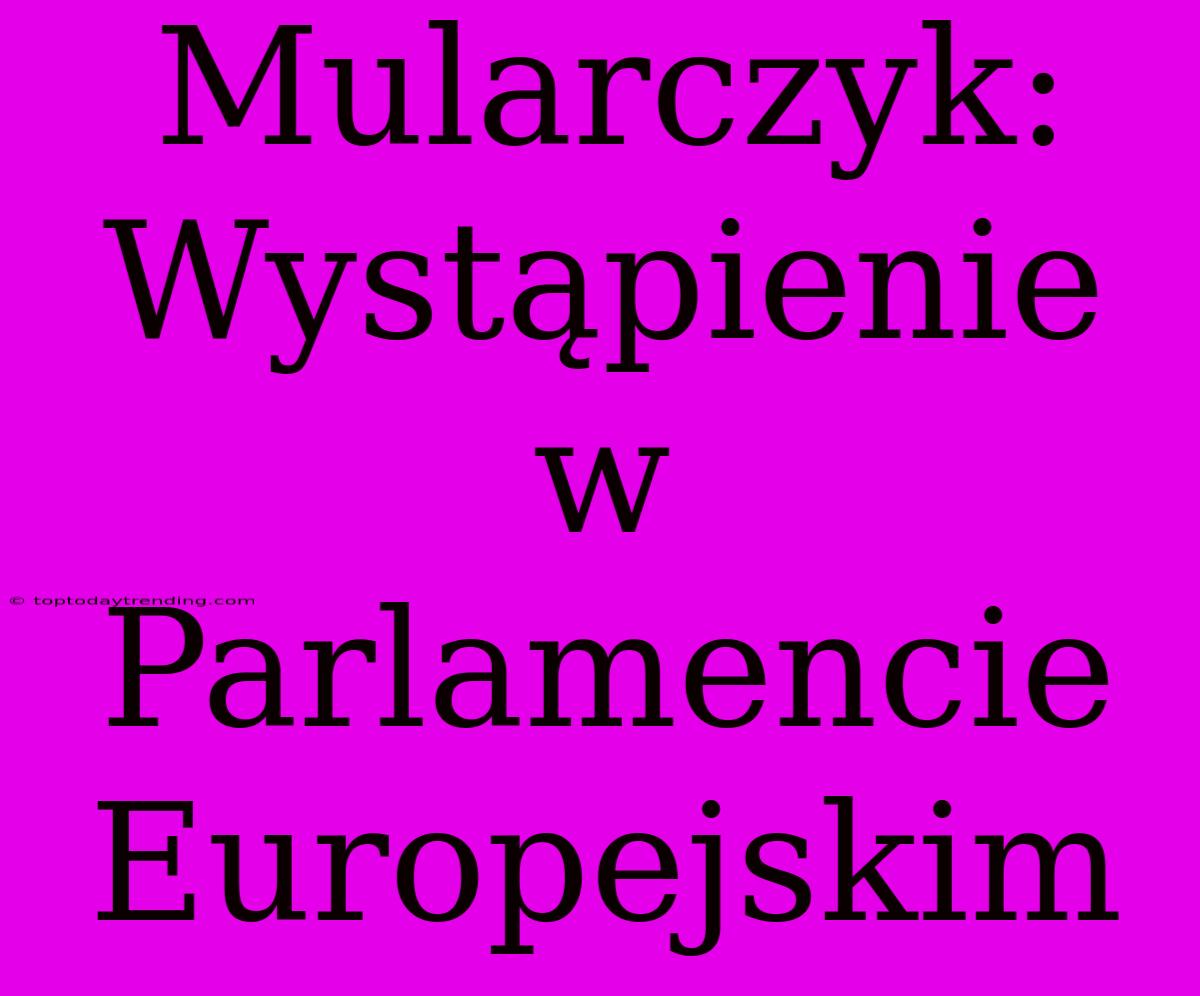 Mularczyk: Wystąpienie W Parlamencie Europejskim