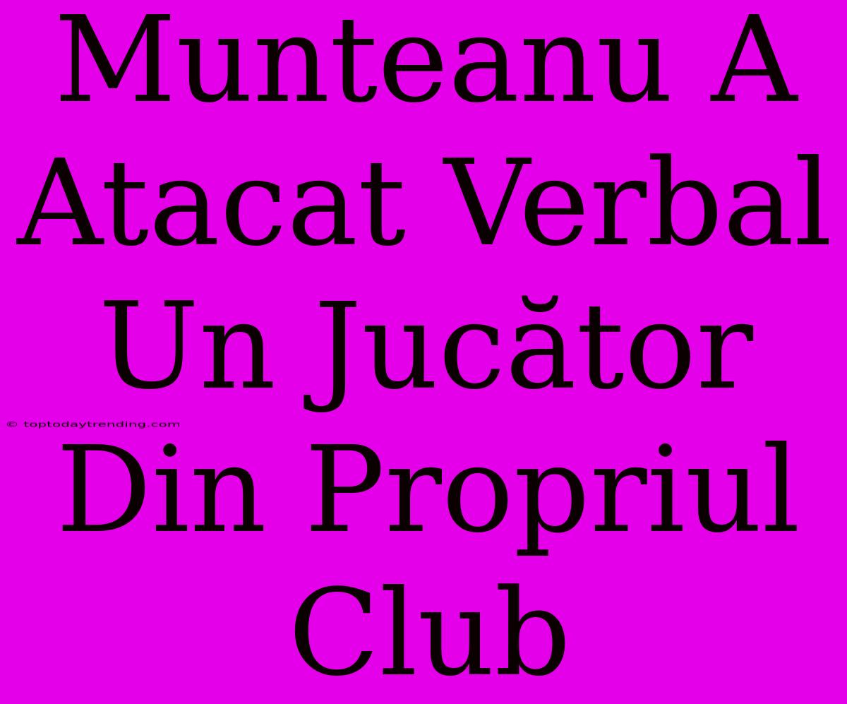 Munteanu A Atacat Verbal Un Jucător Din Propriul Club