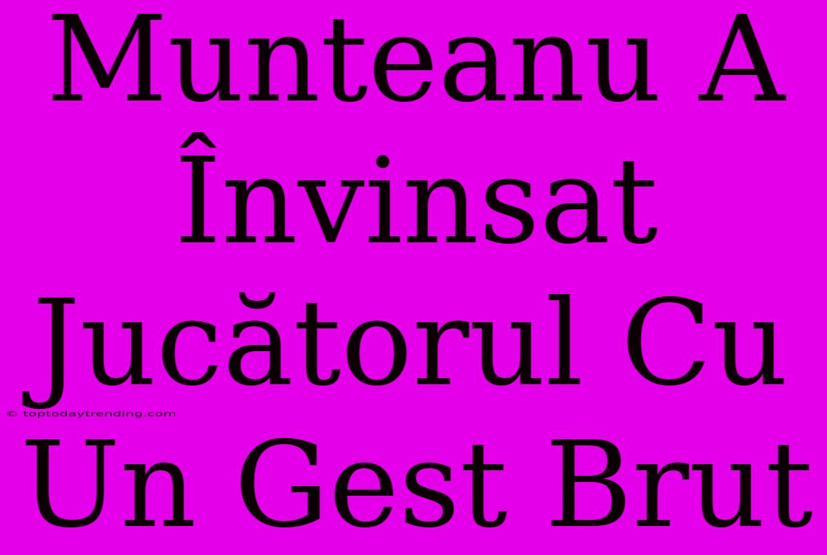 Munteanu A Învinsat Jucătorul Cu Un Gest Brut