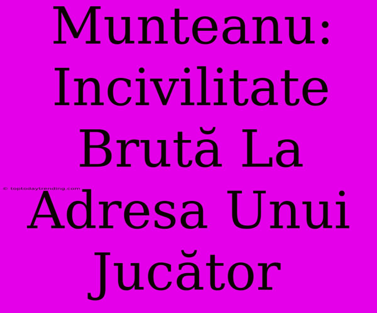 Munteanu: Incivilitate Brută La Adresa Unui Jucător