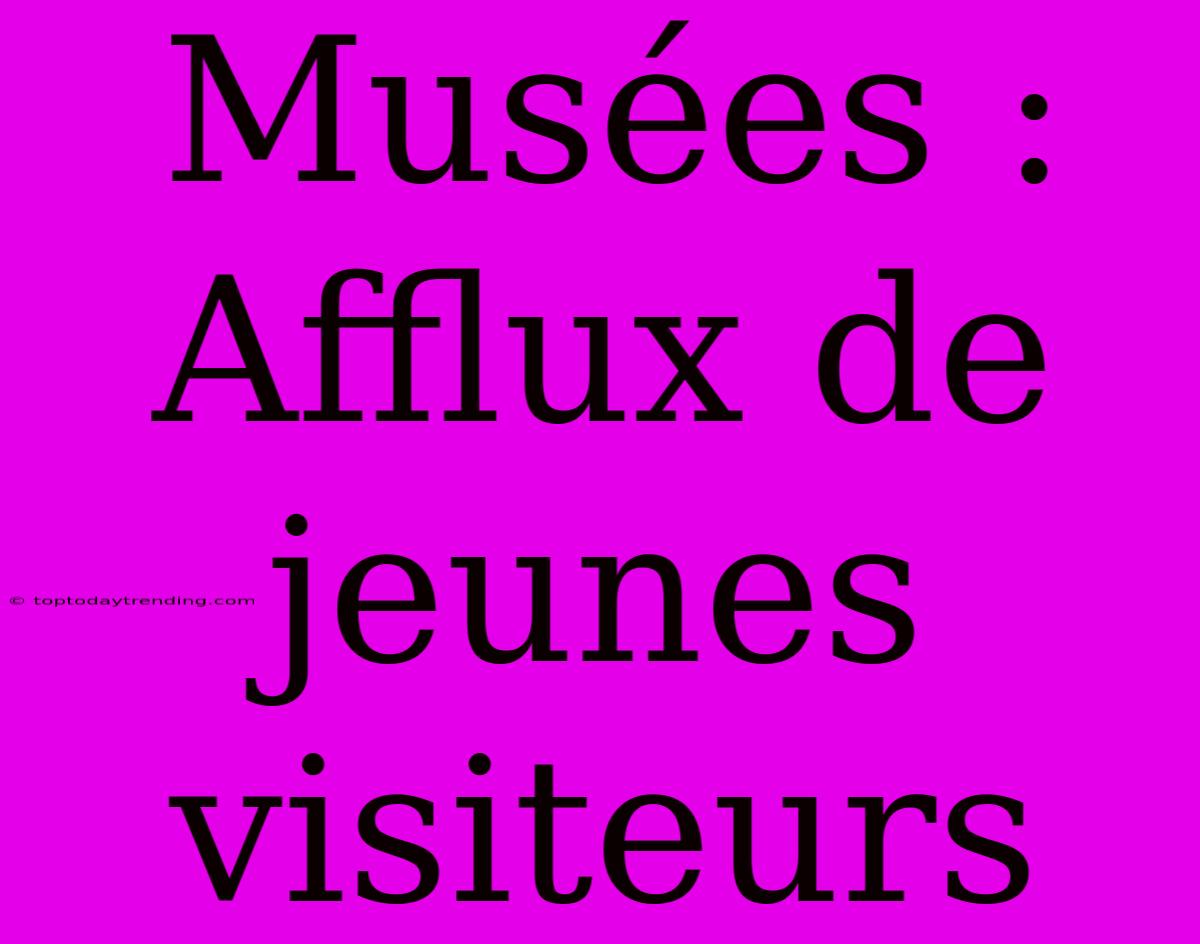 Musées : Afflux De Jeunes Visiteurs