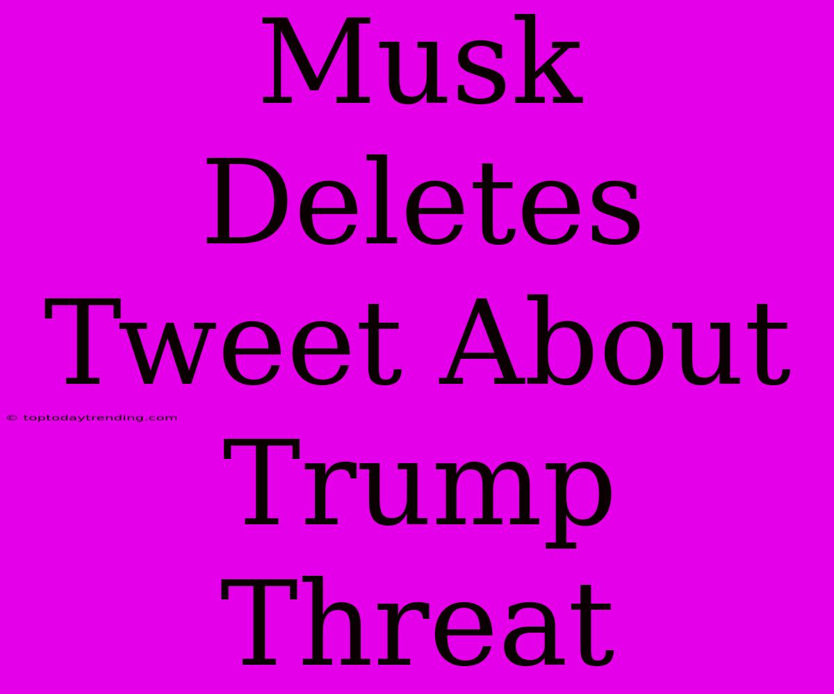 Musk Deletes Tweet About Trump Threat