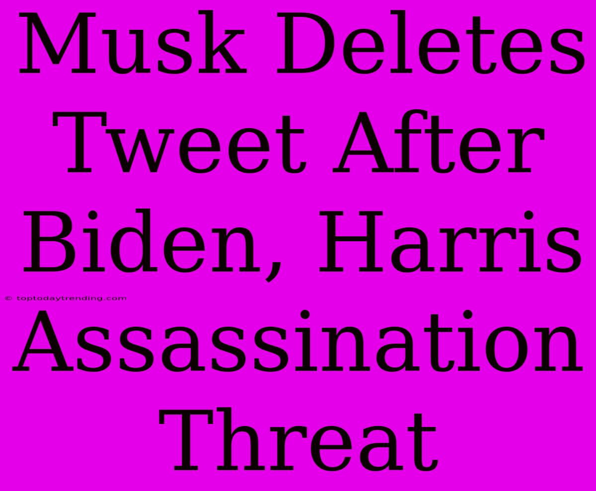 Musk Deletes Tweet After Biden, Harris Assassination Threat