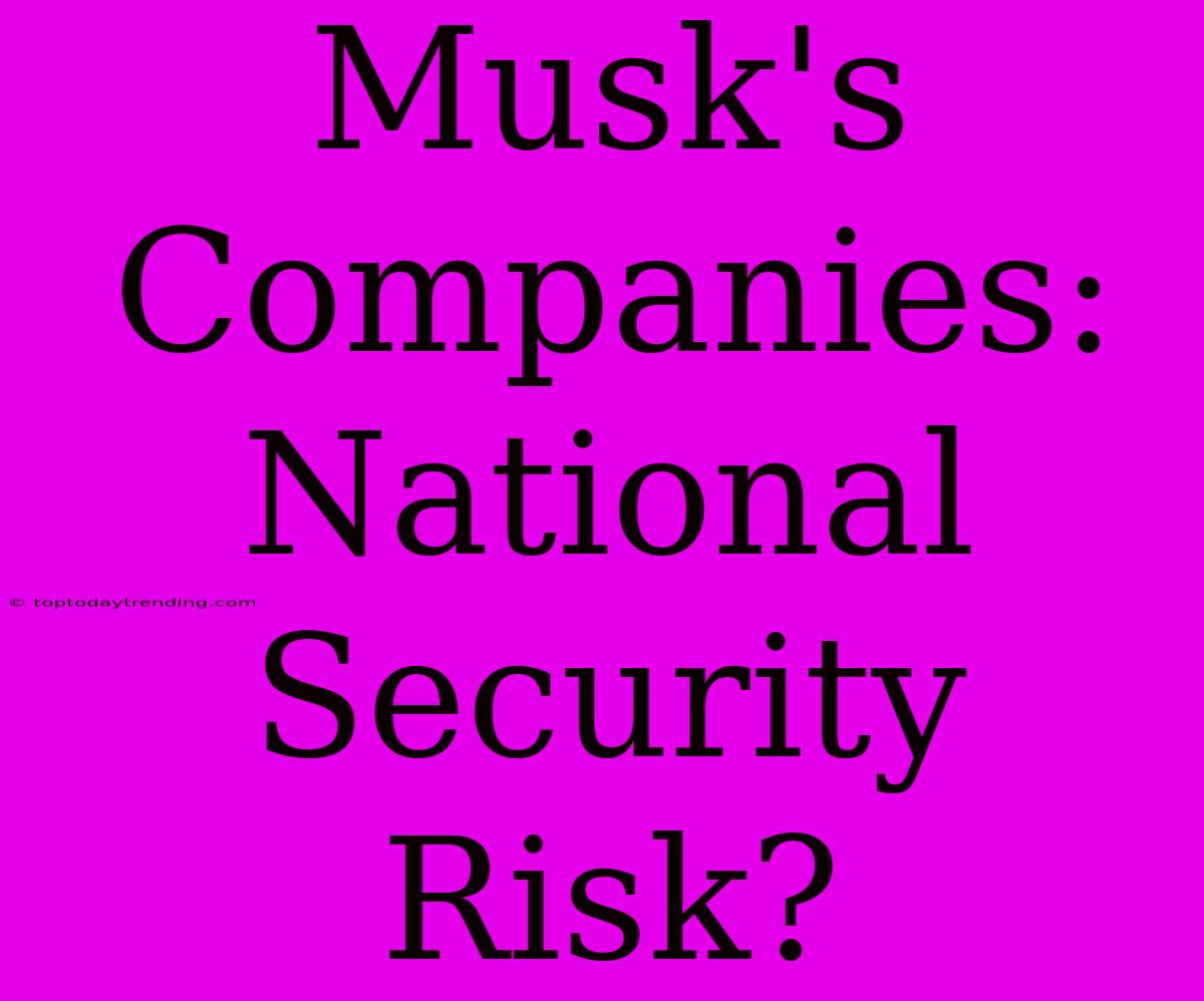 Musk's Companies: National Security Risk?