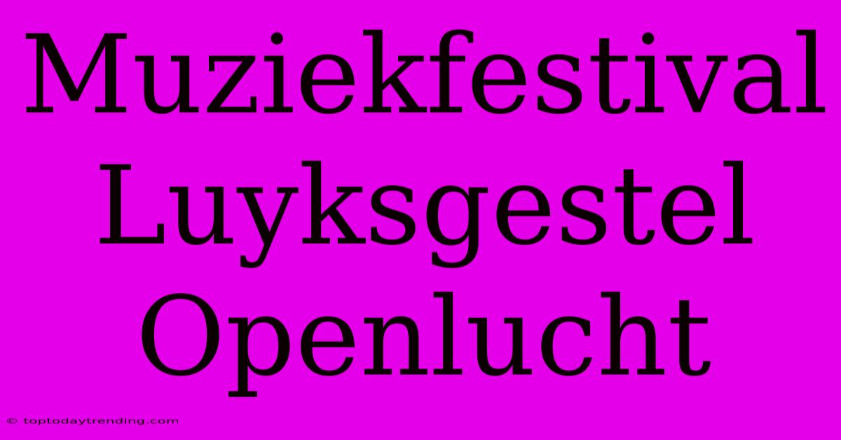 Muziekfestival Luyksgestel Openlucht