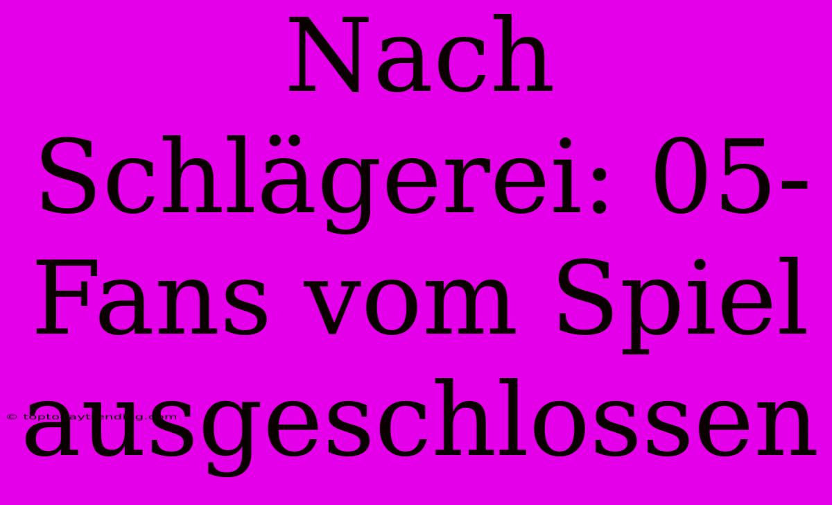 Nach Schlägerei: 05-Fans Vom Spiel Ausgeschlossen