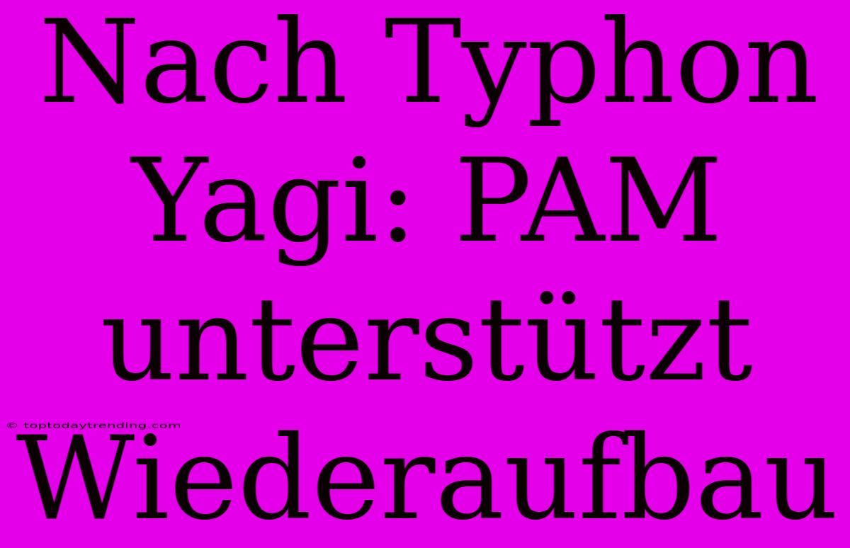 Nach Typhon Yagi: PAM Unterstützt Wiederaufbau