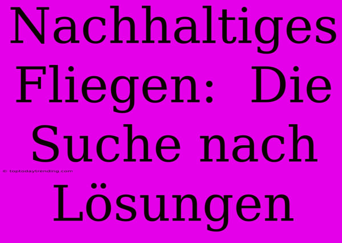 Nachhaltiges Fliegen:  Die Suche Nach Lösungen