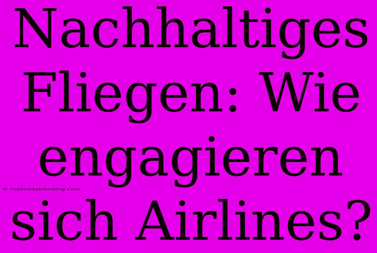 Nachhaltiges Fliegen: Wie Engagieren Sich Airlines?