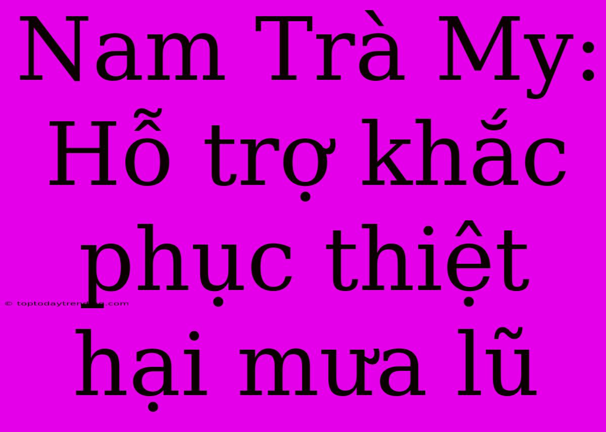 Nam Trà My: Hỗ Trợ Khắc Phục Thiệt Hại Mưa Lũ