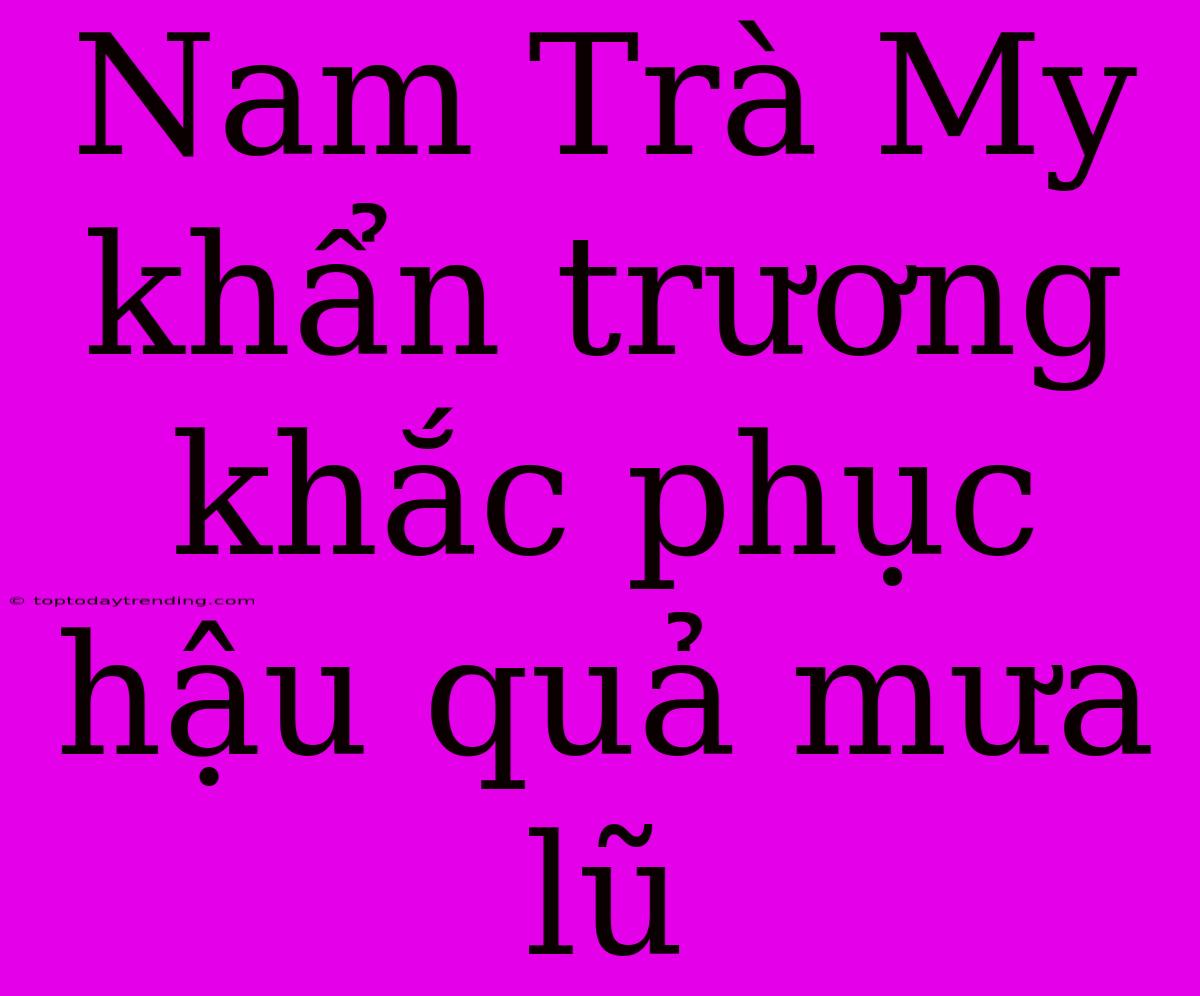 Nam Trà My Khẩn Trương Khắc Phục Hậu Quả Mưa Lũ