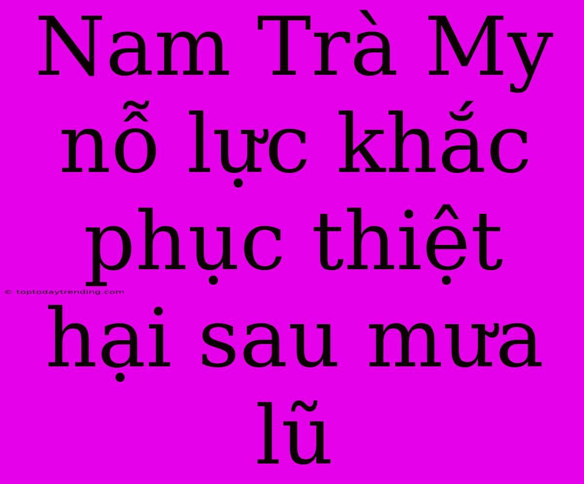 Nam Trà My Nỗ Lực Khắc Phục Thiệt Hại Sau Mưa Lũ