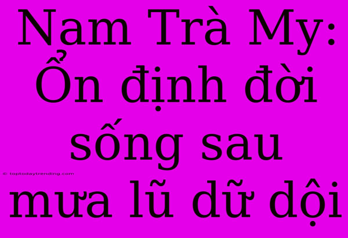 Nam Trà My: Ổn Định Đời Sống Sau Mưa Lũ Dữ Dội