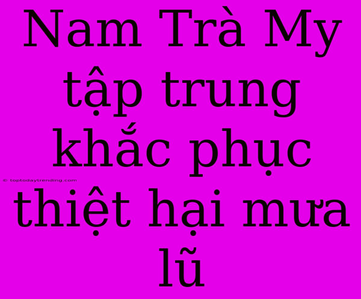 Nam Trà My Tập Trung Khắc Phục Thiệt Hại Mưa Lũ