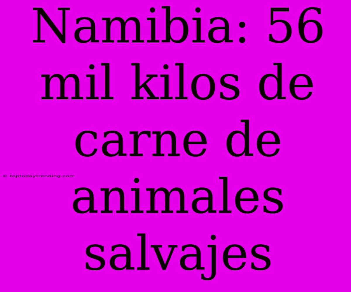 Namibia: 56 Mil Kilos De Carne De Animales Salvajes